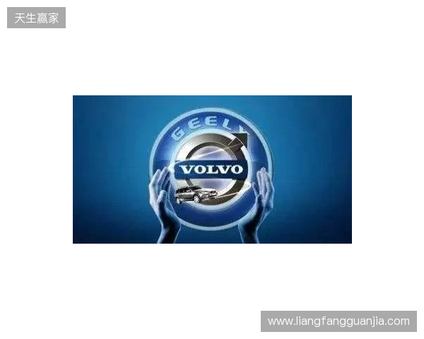 IEM里约 2026：大开大合！NAVI 2-1 战胜B8